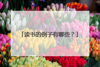 读书的例子有哪些？