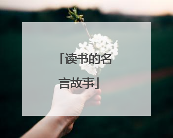 读书的名言故事