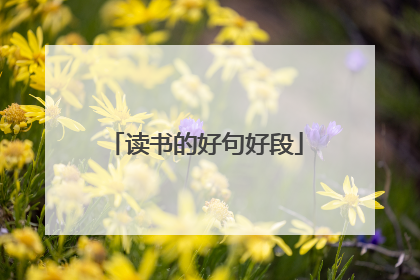 读书的好句好段