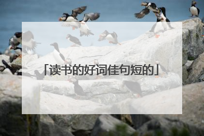 读书的好词佳句短的