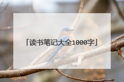 读书笔记大全1000字