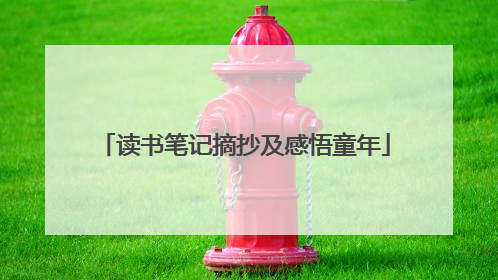 读书笔记摘抄及感悟童年