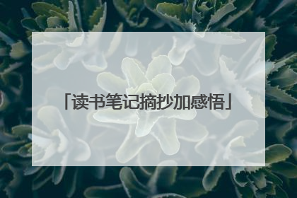 读书笔记摘抄加感悟