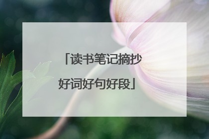 读书笔记摘抄好词好句好段