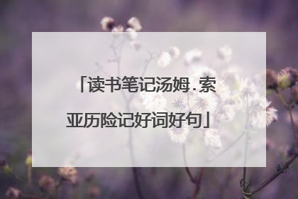 读书笔记汤姆.索亚历险记好词好句