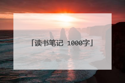 读书笔记 1000字