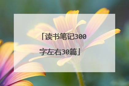 读书笔记300字左右30篇