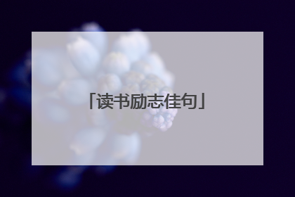 读书励志佳句