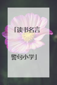 读书名言警句小学