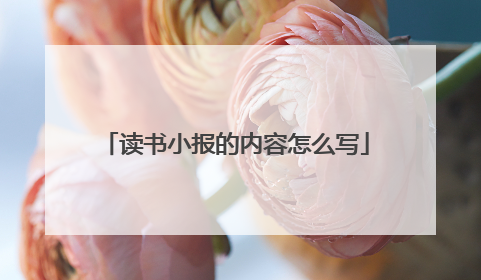 读书小报的内容怎么写