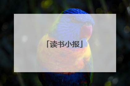 读书小报