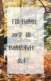 读书感悟20字 读书感悟有什么