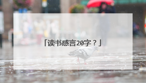 读书感言20字?