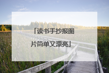 读书手抄报图片简单又漂亮