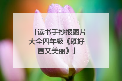 读书手抄报图片大全四年级《既好画又美丽》