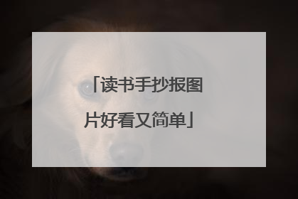 读书手抄报图片好看又简单