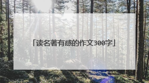 读名著有感的作文300字