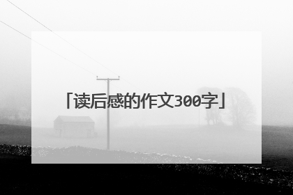 读后感的作文300字