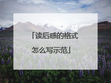 读后感的格式怎么写示范