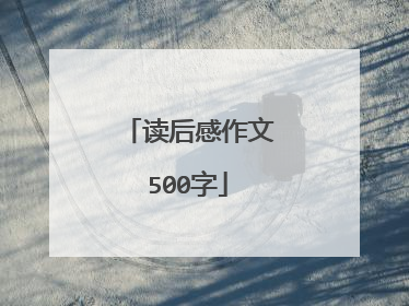 读后感作文500字