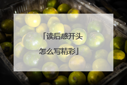 读后感开头怎么写精彩