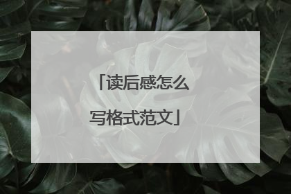 读后感怎么写格式范文
