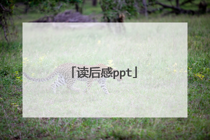 读后感ppt