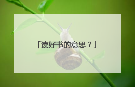 读好书的意思?