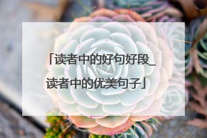 读者中的好句好段_读者中的优美句子