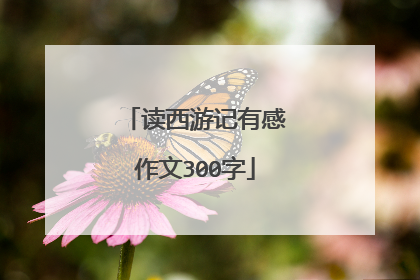 读西游记有感作文300字