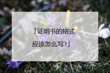 证明书的格式应该怎么写?