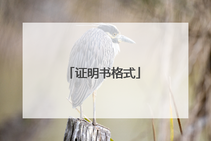证明书格式