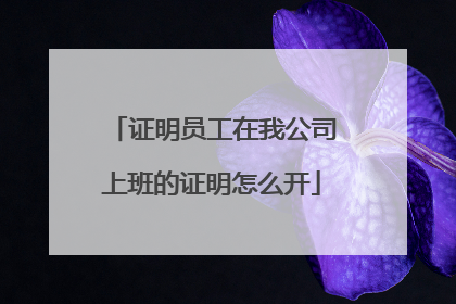 证明员工在我公司上班的证明怎么开