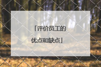 评价员工的优点和缺点