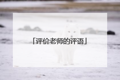 评价老师的评语