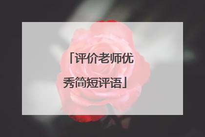 评价老师优秀简短评语
