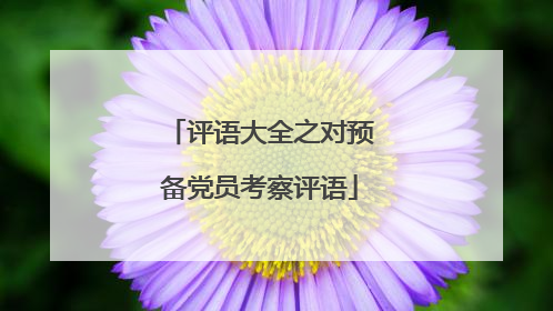 评语大全之对预备党员考察评语