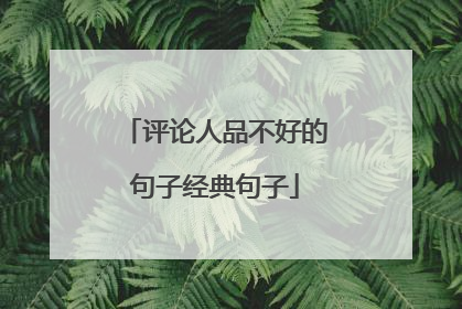 评论人品不好的句子经典句子