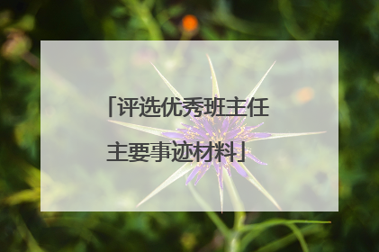 评选优秀班主任主要事迹材料