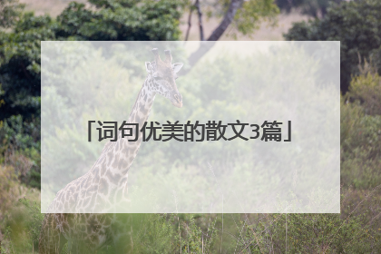 词句优美的散文3篇