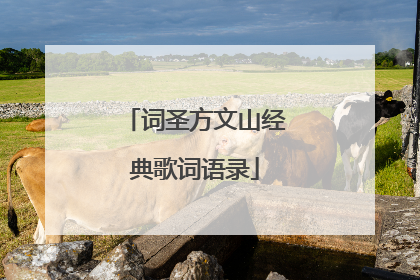 词圣方文山经典歌词语录