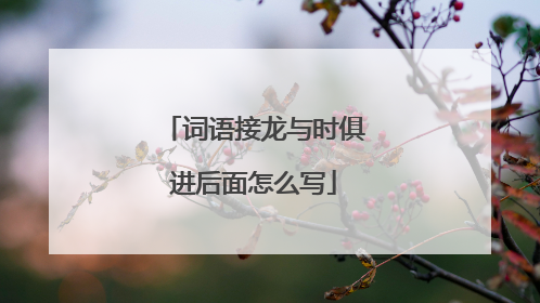 词语接龙与时俱进后面怎么写