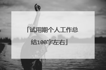 试用期个人工作总结100字左右