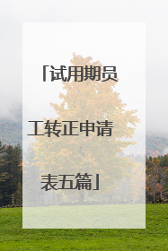 试用期员工转正申请表五篇