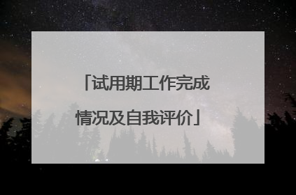 试用期工作完成情况及自我评价