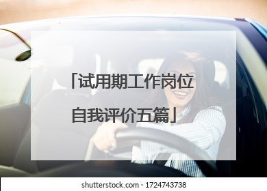 试用期工作岗位自我评价五篇
