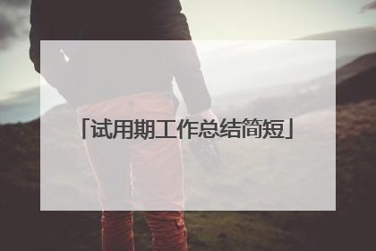 试用期工作总结简短