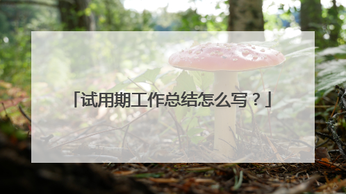 试用期工作总结怎么写？