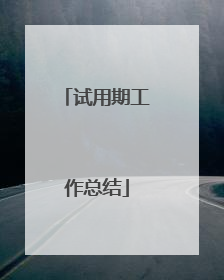 试用期工作总结