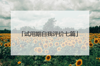 试用期自我评价七篇